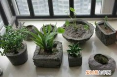 图 水泥花盆怎么做 如何用水泥自制花盆