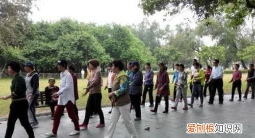 怎么下载微信运动每天的步数