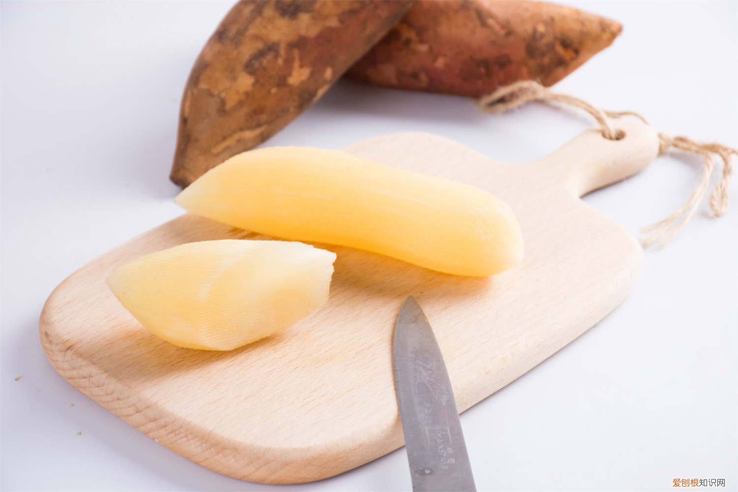 雪莲果的果实怎么才能发芽 雪莲果能当种子种吗，发芽了可以种吗