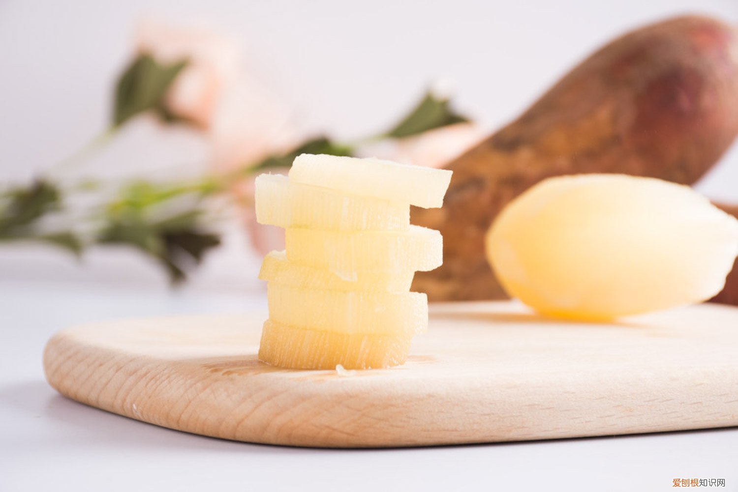 雪莲果的果实怎么才能发芽 雪莲果能当种子种吗，发芽了可以种吗