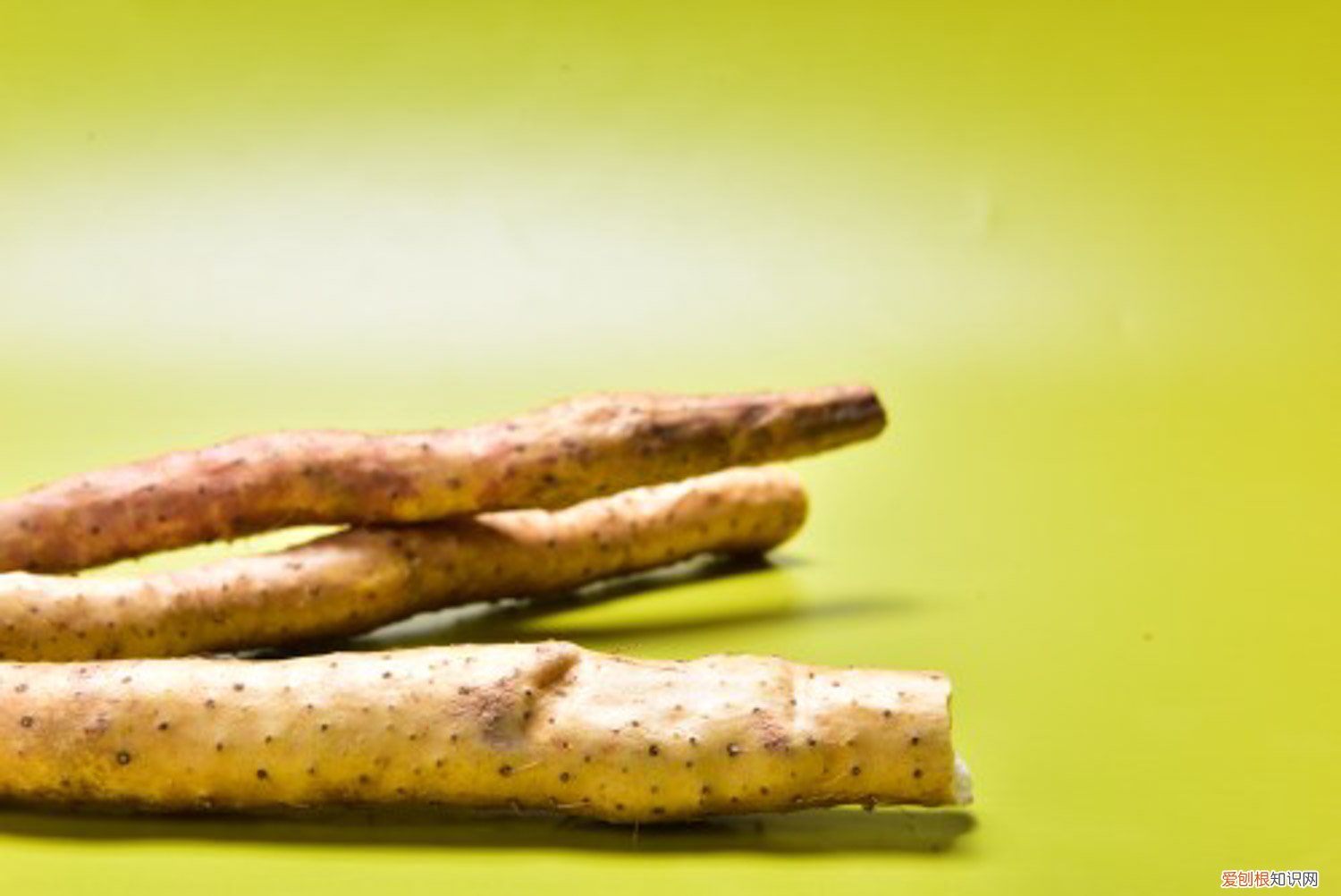 山药怎么繁殖?山药的繁殖技术 山药用什么繁殖后代,山药在家的种植方法