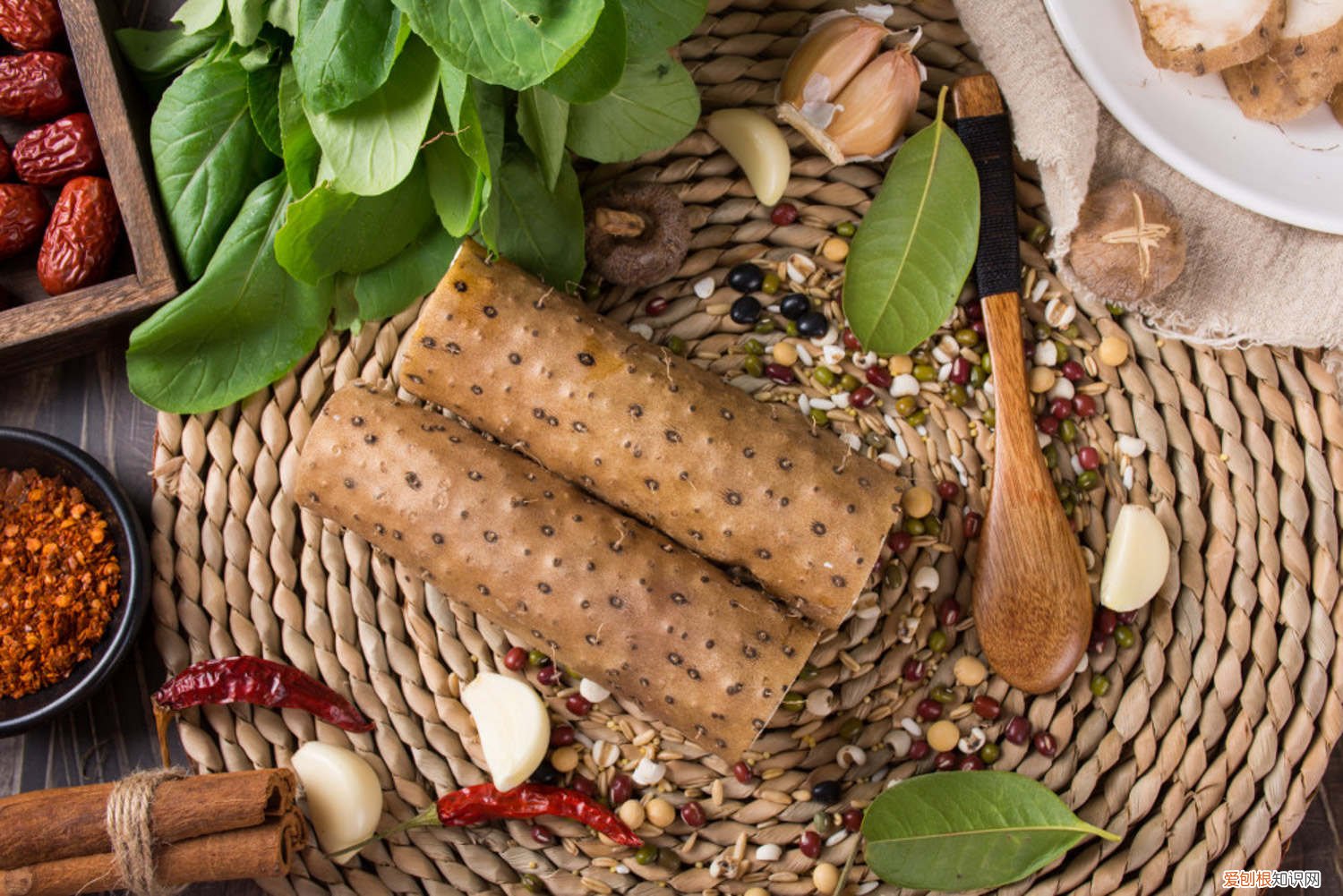 山药用什么底肥好 种植山药要使用什么肥，山药长粗用什么肥好