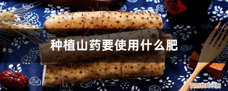 山药用什么底肥好 种植山药要使用什么肥，山药长粗用什么肥好