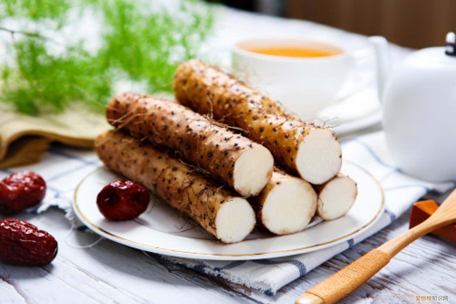 山药水能浇花吗 山药浇水规则,山药浇水什么时候是关键