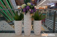 图 花盆太深底下放什么好 用什么垫底