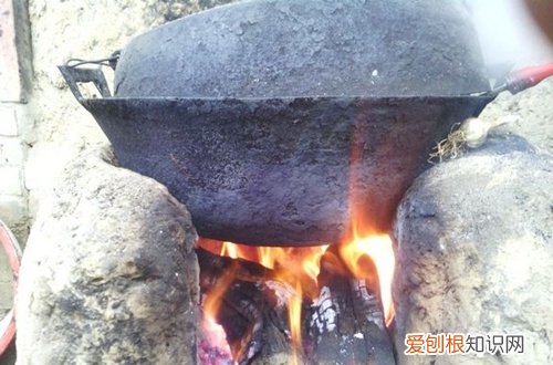 图 养花的土怎么消毒 怎样给花土快速消毒