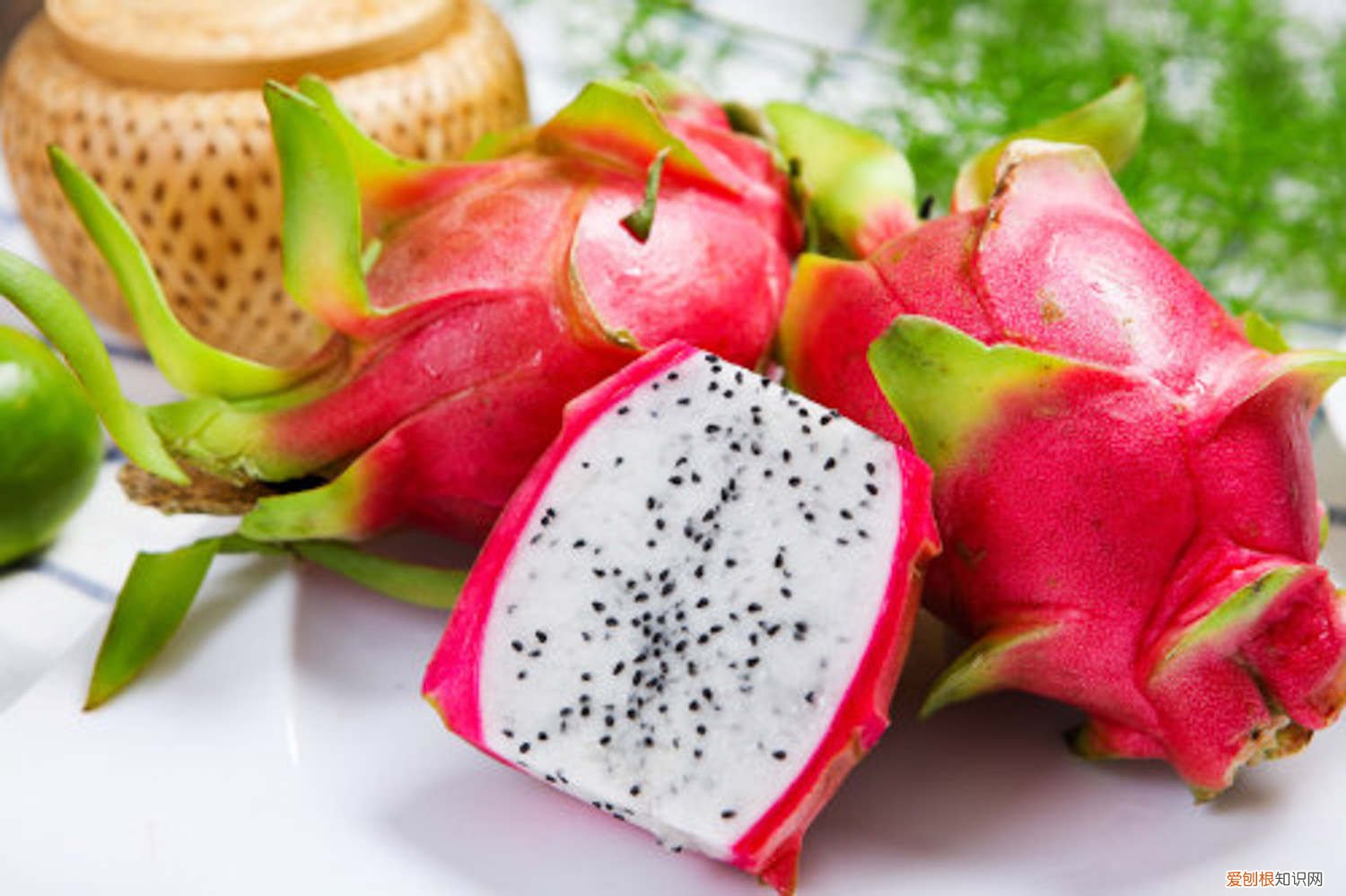 火龙果里面有白虫 火龙果里有白虫正常吗,怎么保存的时间长