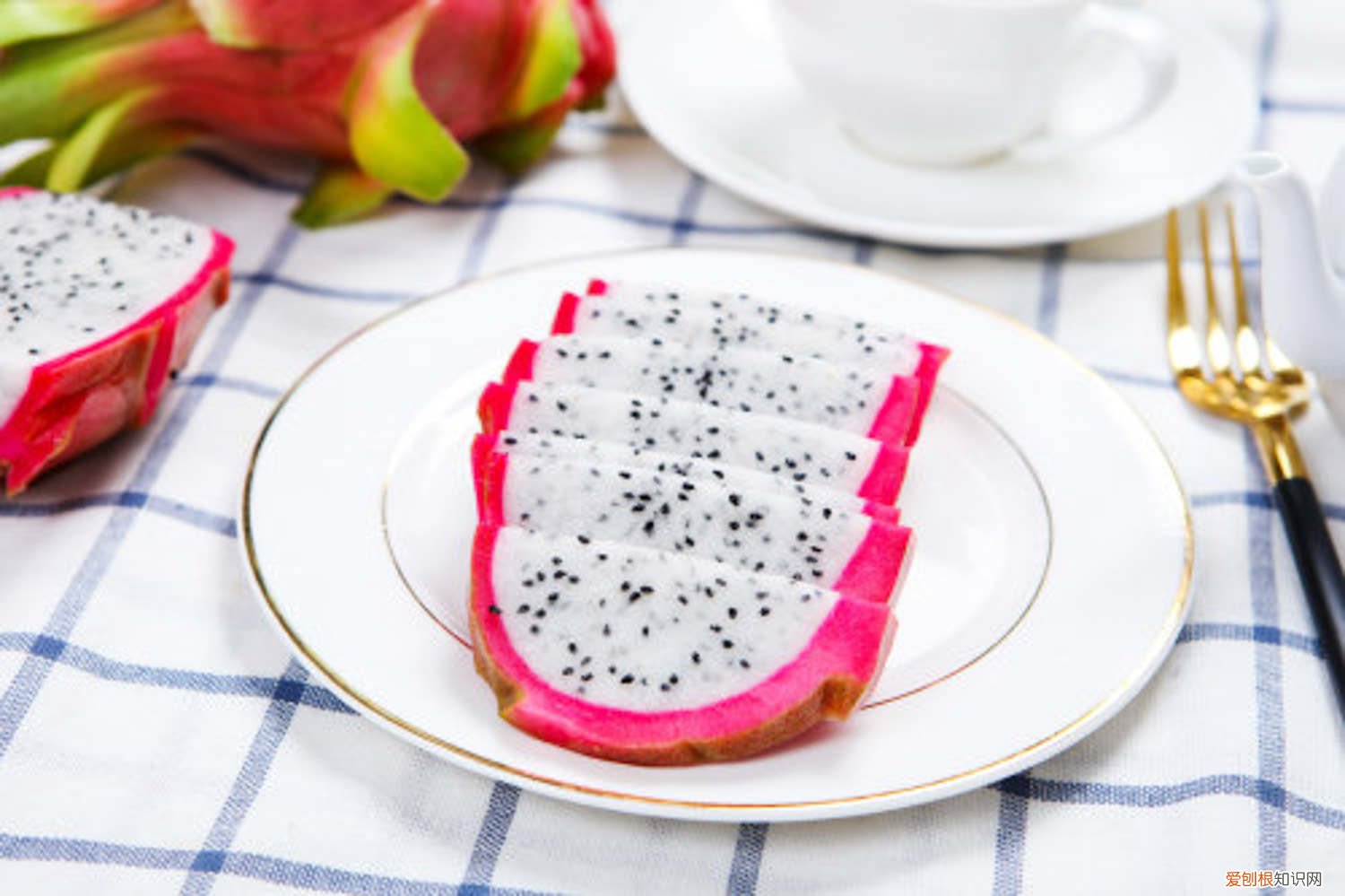 火龙果几月份可以扦插,扦插后要浇水吗图片 火龙果几月份可以扦插，扦插后要浇水吗