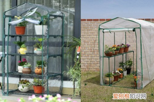 图 冬天院子里花怎么防冻保暖 顺利过冬