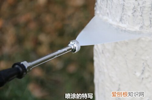 图 冬天院子里花怎么防冻保暖 顺利过冬