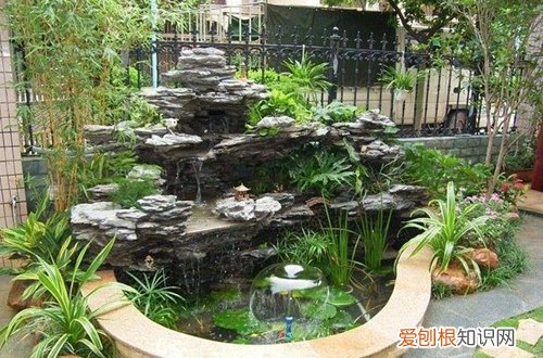 图 冬天院子里花怎么防冻保暖 顺利过冬