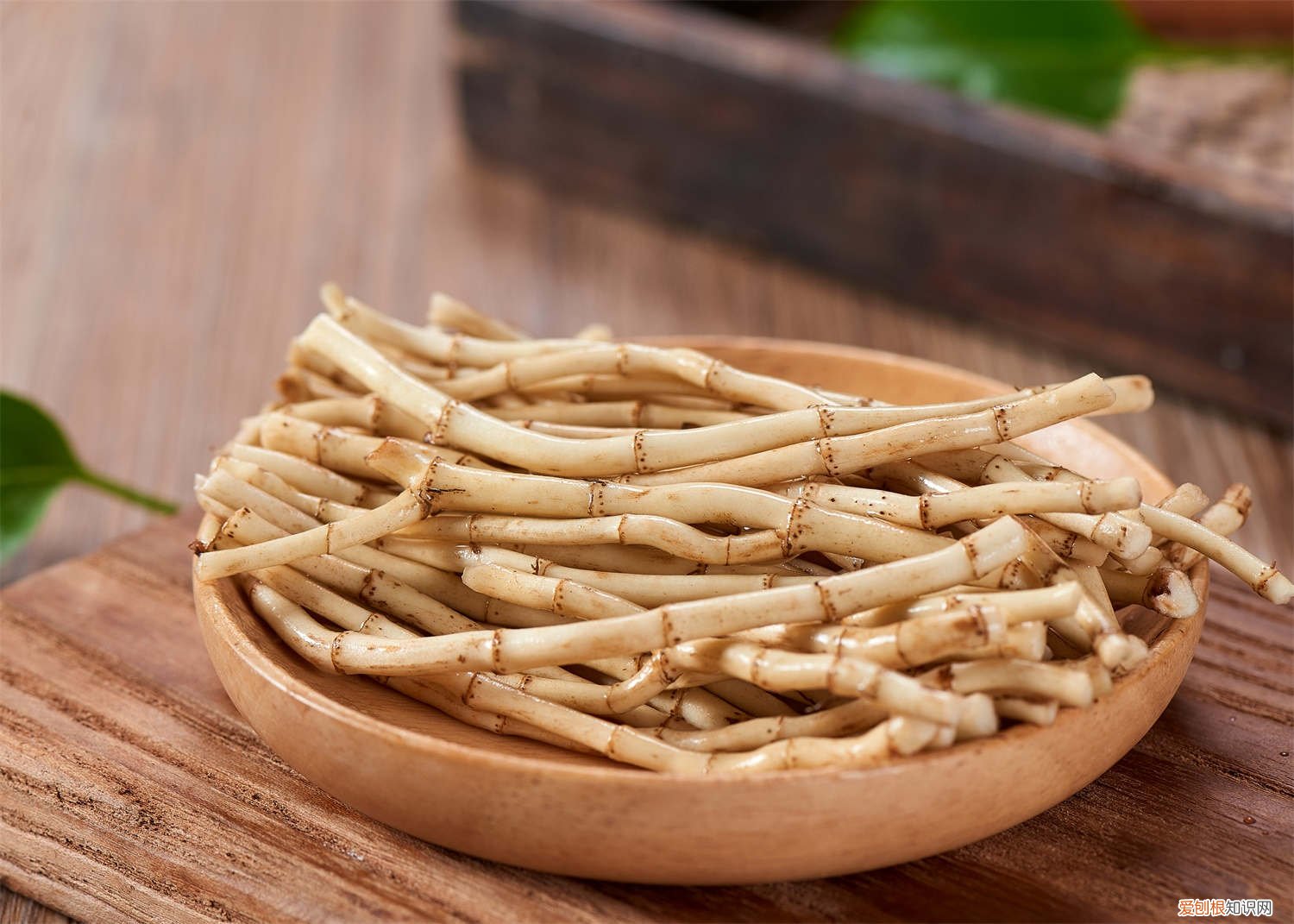 鱼腥草用什么土养好 鱼腥草好养吗，怎么养长的好