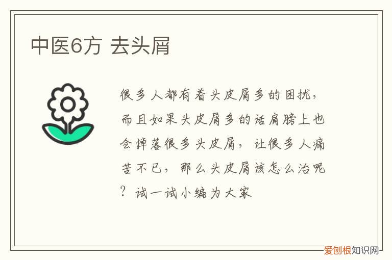 中医6方 去头屑