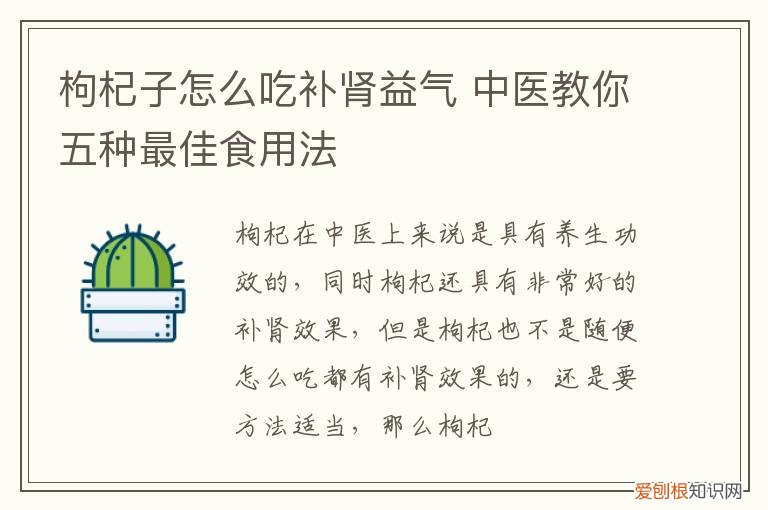 枸杞子怎么吃补肾益气 中医教你五种最佳食用法