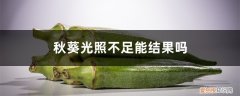 夏天种植秋葵对光照的要求 秋葵光照不足能结果吗，秋葵喜欢光照吗