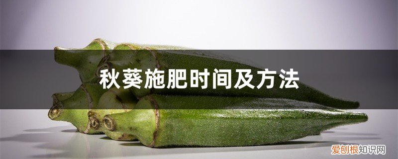 秋葵的施肥方法有哪些 秋葵施肥时间及方法，秋葵移植后施什么肥好