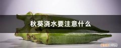 秋葵浇水多还是浇水少好 秋葵浇水要注意什么，秋葵多长时间浇一次水