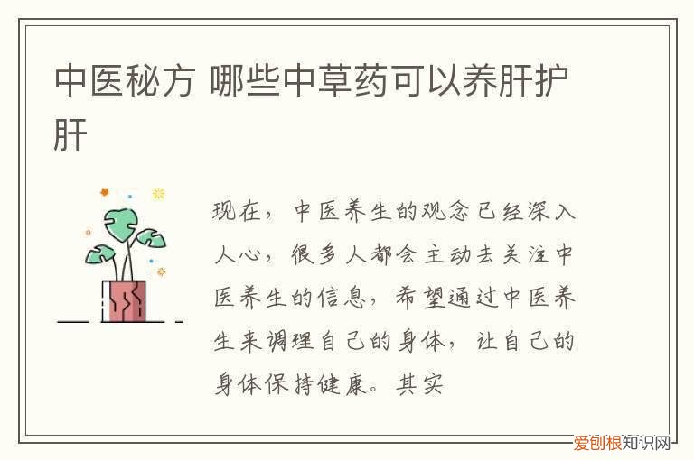 中医秘方 哪些中草药可以养肝护肝