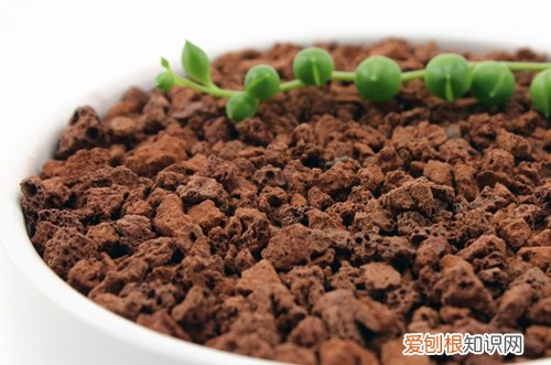 图 养花用什么底肥 花卉用什么做底肥最好