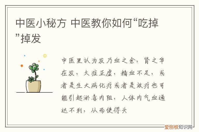 中医小秘方 中医教你如何“吃掉”掉发