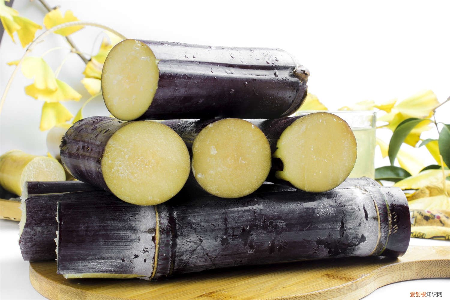 甘蔗的栽种方法 种植技术介绍 甘蔗怎么种植