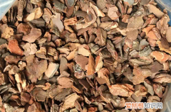 图 如何用树皮做植料 零成本自制树皮植料的方法和注意事项