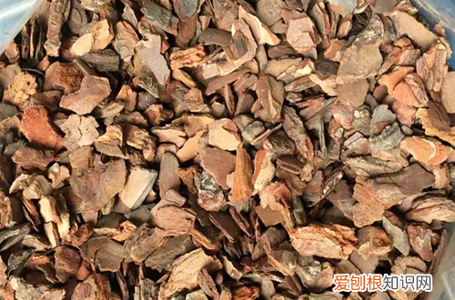 图 如何用树皮做植料 零成本自制树皮植料的方法和注意事项