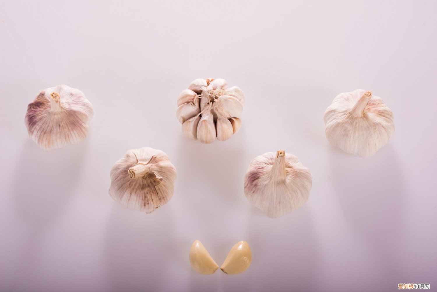 怎么种大蒜,秋播大蒜的栽培方法视频 怎么种大蒜，秋播大蒜的栽培方法