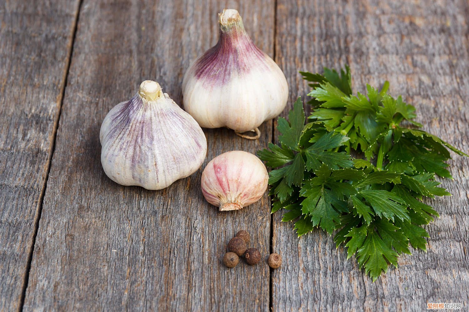 何时种大蒜合适及种植方法 大蒜种植时间和方法，大蒜怎么种
