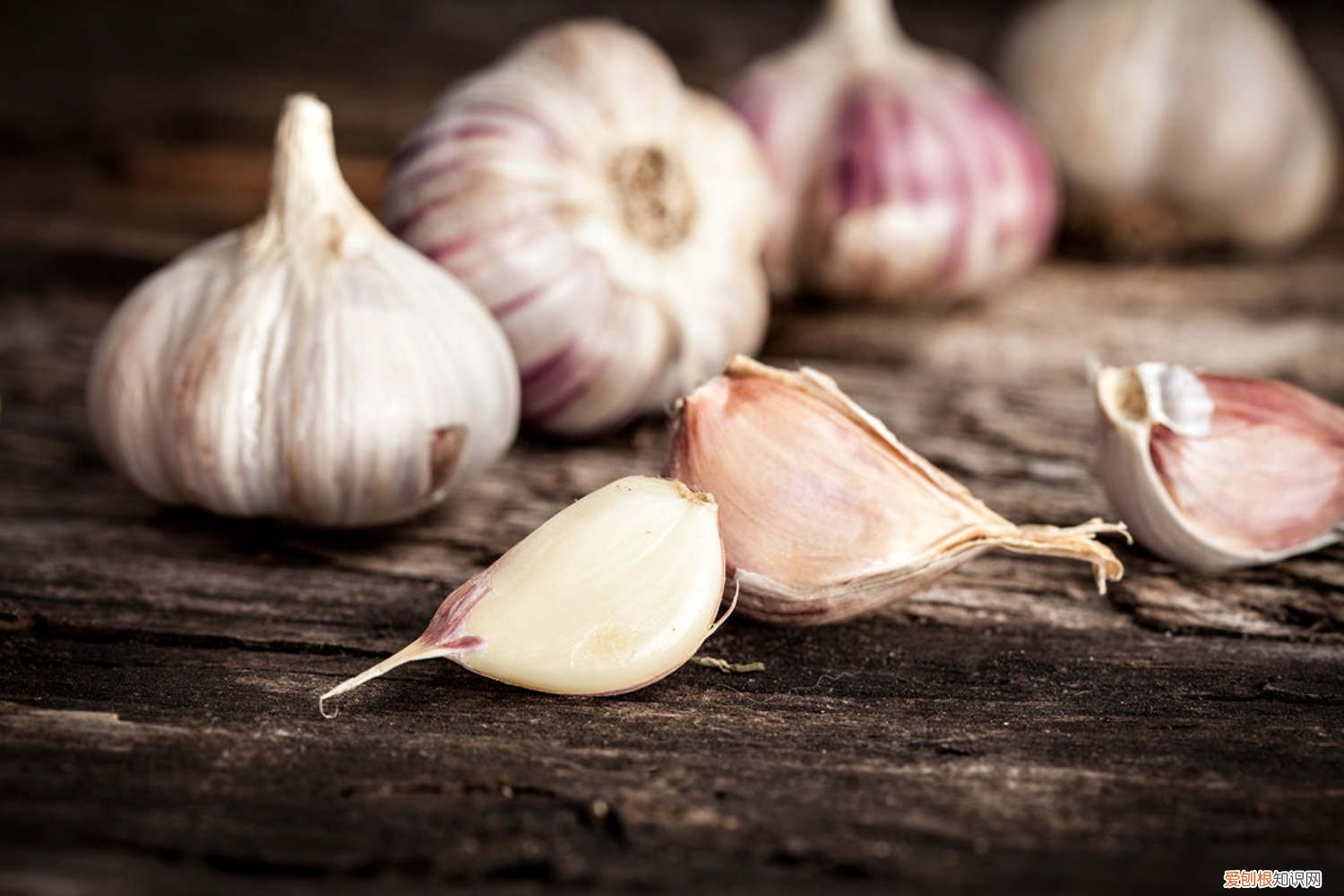 大蒜种植技术 大蒜种植方法 大蒜怎么种植，大蒜批发价格