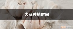 大蒜种植时间,大蒜什么时候种最好 大蒜种植时间，大蒜什么时候种