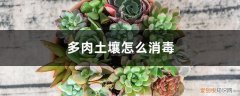 多肉土壤消毒剂怎么用 多肉土壤怎么消毒