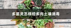多肉怎样用多菌灵 多菌灵怎样给多肉土壤消毒
