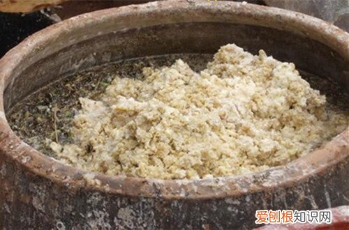 图 豆腐渣可以做花肥吗 豆腐渣怎样发酵做花肥