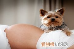 怀孕九个月宝宝有多大 ，怀孕九个月宝宝有多大图片