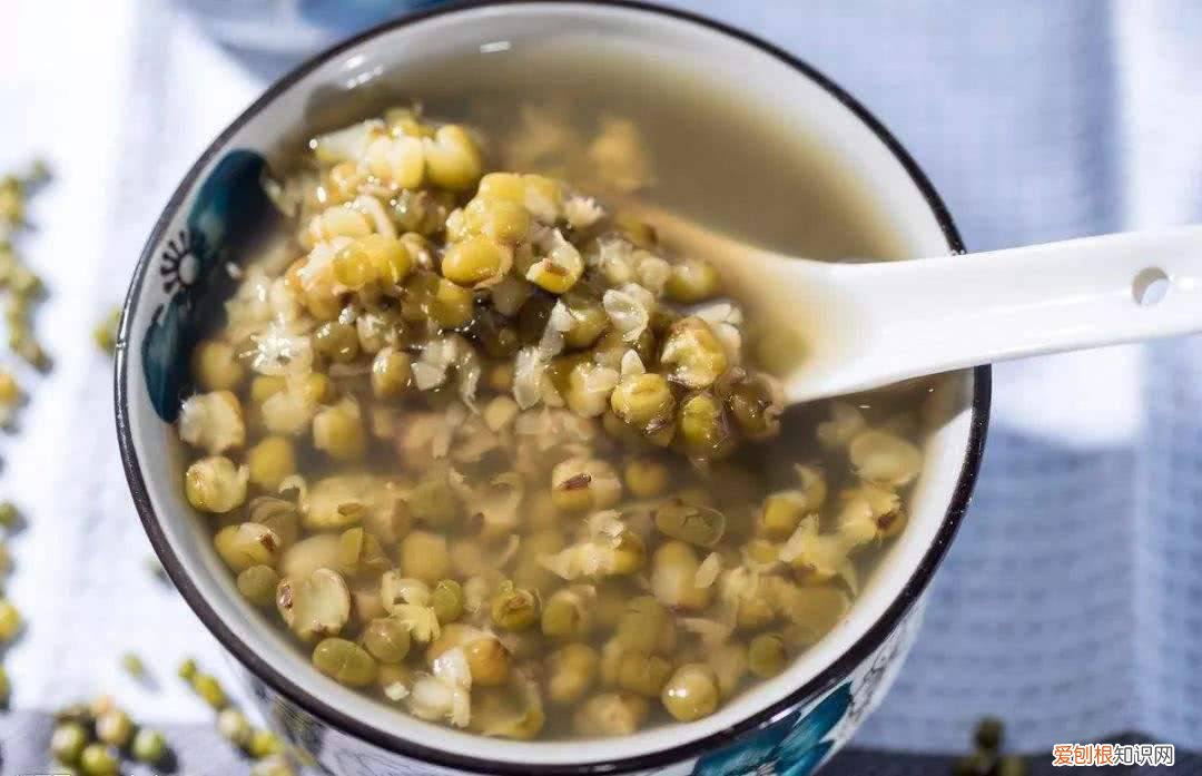 狗狗能不能喝绿豆汤水 狗狗能不能喝绿豆汤