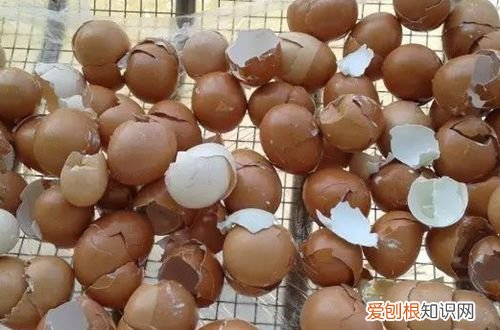 图 如何制作不臭的花肥 怎么做花肥不臭