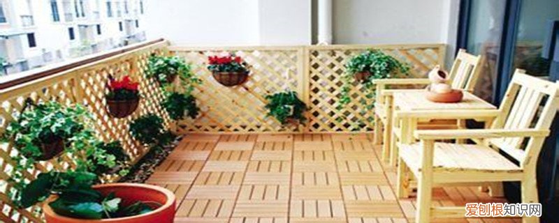 家里养的花需要施肥么 家里养花在开花期间能施肥吗