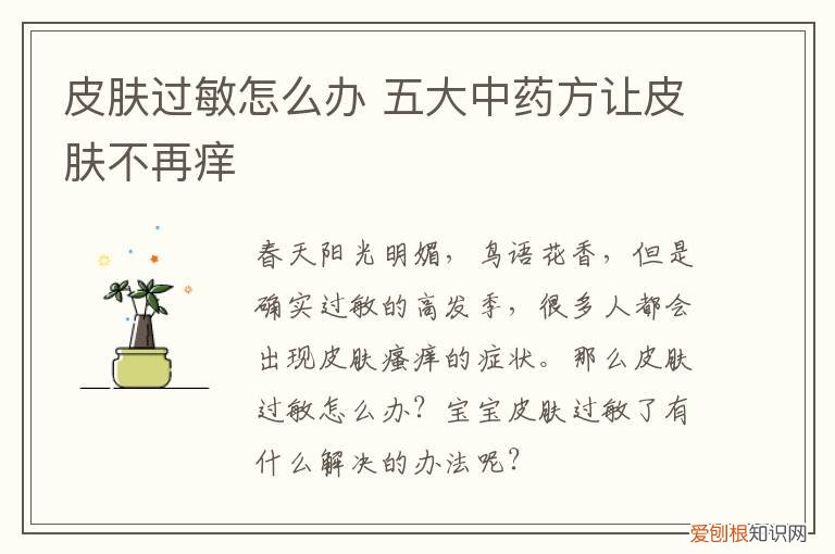 皮肤过敏怎么办 五大中药方让皮肤不再痒