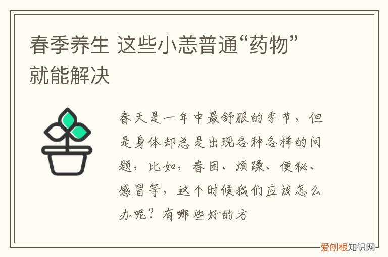 春季养生 这些小恙普通“药物”就能解决
