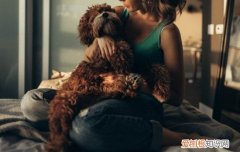 犬国产疫苗什么牌子好 狗国产疫苗什么牌子好