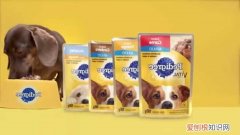 宝路狗粮 毒 宝路的狗粮有毒吗