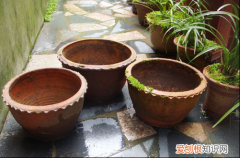 图 什么花盆透气性好 最透气的花盆是哪种