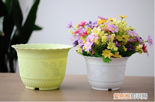 图 养花用什么花盆好 什么样的花盆养花好