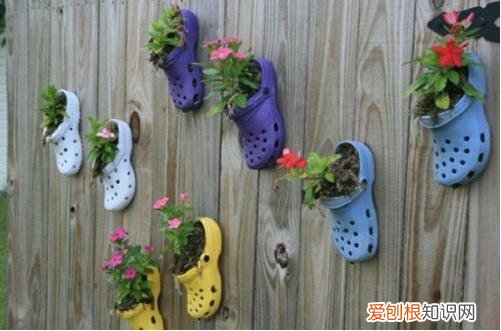 图 养花用什么花盆好 什么样的花盆养花好