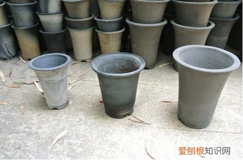 图 养花用什么花盆好 什么样的花盆养花好