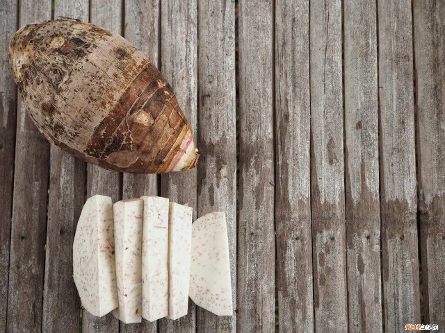 芋头的养殖方法和注意事项 芋头的养殖方法