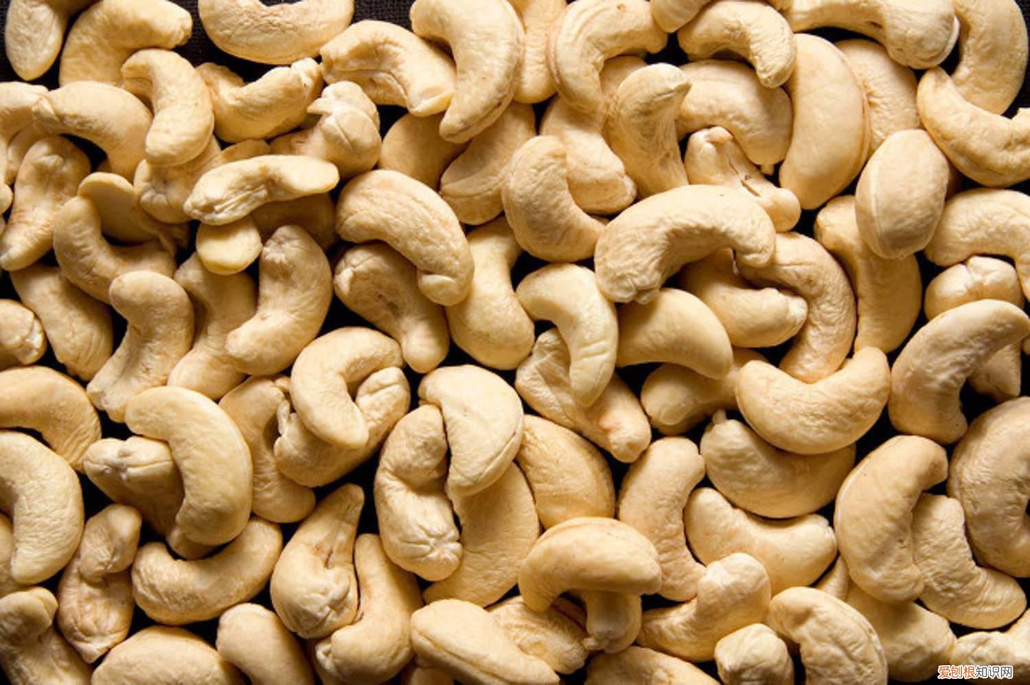 腰果怎么养殖 腰果怎么养