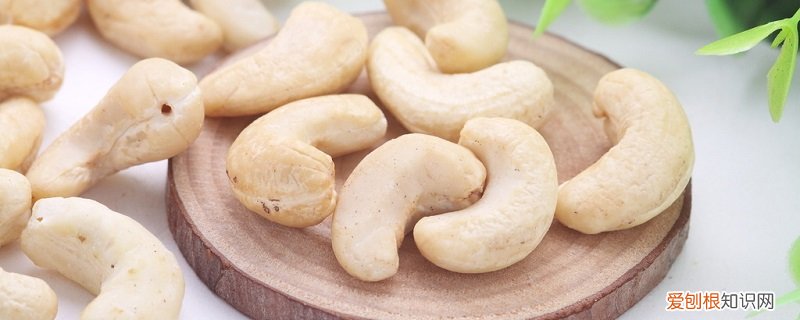 腰果怎么养殖 腰果怎么养