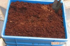 图 能用椰糠种花吗 椰糠土怎么用